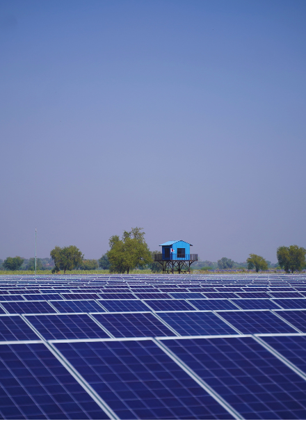Best Solar Company in Surat, Gujarat